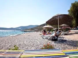 Şahin Motel & Restaurant