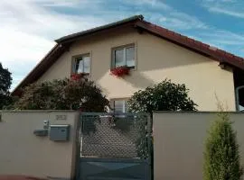 apartmány pod lesem