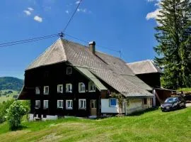 Echtes Schwarzwaldhaus - Traditionell & Modern