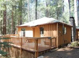 9S Pine Cabin