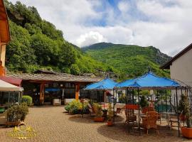 狮子酒店，位于Roure Turin的酒店