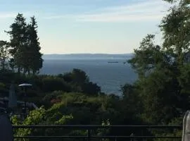 Upper Level with a view