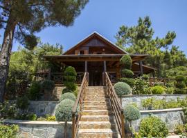 Ricky Chalet Near Troodos，位于Spilia的乡村别墅