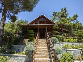 Ricky Chalet Near Troodos