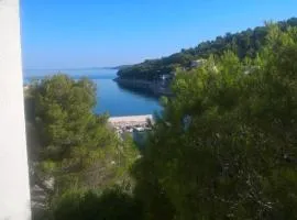 Zirje Accommodation