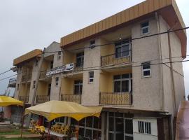 Feyisa Hotel，位于‘Alem Gena的酒店