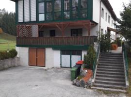 Ferienhaus Steyrdurchbruch，位于Leonstein的酒店