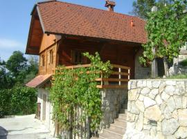 Vineyard cottage Zidanca med vinogradi，位于奥托亚克的酒店