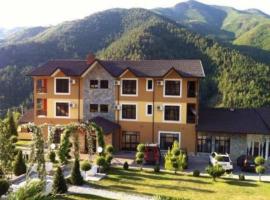 Villa Zeneli Hotel，位于爱尔巴桑的酒店