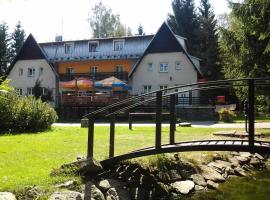 Hotel Gaudeamus，位于Svratka的酒店