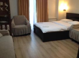 David APT on Bakuriani Orbi Palace，位于巴库里阿尼的酒店