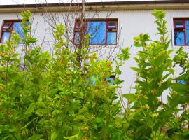 Guesthouse Kálfafellsstadur，位于Kálfafellsstaður的酒店