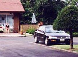 Crystal Beach Motel，位于伊利堡的酒店