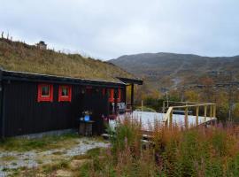 Haukeli Mountain Cabin，位于Vågsli的度假屋