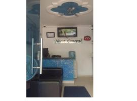 HOTEL CENTRAL DE LOS LLANOS，位于Villanueva的酒店