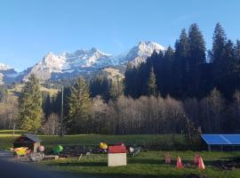 Chalet Wildbach，位于阿德尔博登的酒店