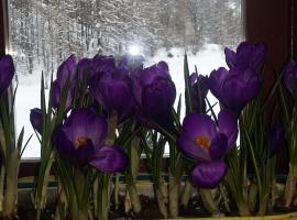 拉戈劳克斯酒店，位于费内斯特雷莱的酒店