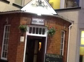The Dillwyn Arms Hotel，位于斯旺西的酒店