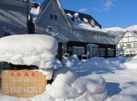 Natural Hot Spring Hakuba Symphony，位于白马村的酒店