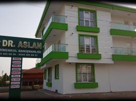 Dr Aslan Apart Hotel，位于Esenboga的公寓