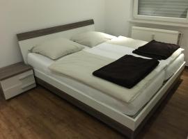 Hotel Friesenhof，位于Westoverledingen的酒店