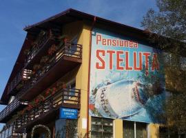 Pensiunea Steluta，位于普雷代亚尔的浪漫度假酒店