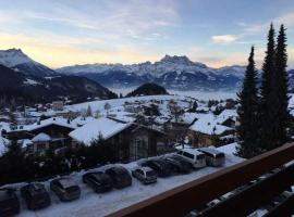 Apartment Leysin - Swiss Alps - Fully Renovated !，位于莱森的酒店