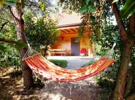 Sumówko Leśne Siedlisko