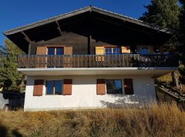Chalet Bergmann，位于波尔琴的酒店