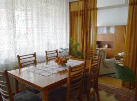Apartman Nikolic，位于博尔的酒店