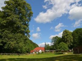 Zur Sommerfrische Lothramühle，位于Drognitz的酒店