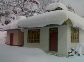 Hotel Blue Pine，位于Thanggu的酒店