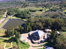 HIGH HUB HOSTEL - ECO GITE DES TAMARINS，位于Trois Bassins的酒店