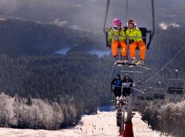 Apartman Šumava - Bavorský les，位于米特菲厄姆恩斯罗伊特的滑雪度假村