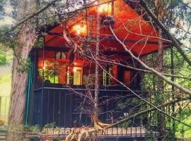 Casa En El Arbol