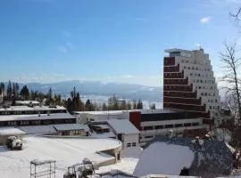 Apartman Panorama 329