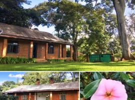 AfricaWildTruck Eco Camp & Lodge，位于Mulanje卢杰里茶园附近的酒店