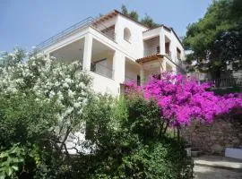 Villa Iguana Votsi