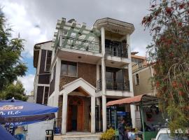 Addis Ababa Hotel，位于亚的斯亚贝巴的酒店