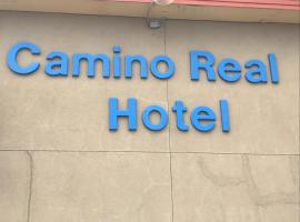 Camino Real Hotel，位于伊格尔帕斯的汽车旅馆