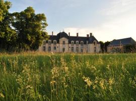 Chateau La Touanne Loire valley，位于Baccon的住宿加早餐旅馆