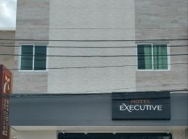 Hotel Executive，位于德尔米鲁戈韦亚的住宿