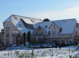 山庄酒店及餐厅，位于莱因斯韦勒的酒店