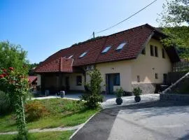 Farm Stay Zevnik