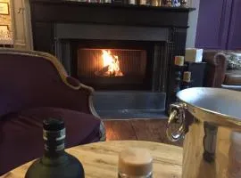 贝努切斯诺酒店