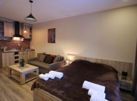Aparthotel in Bakuriani "The Valley"，位于巴库里阿尼的酒店