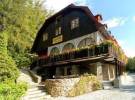 Hotel Leśny Gród，位于希维拉杜夫-兹德鲁伊的酒店