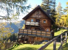 Platzerhütte，位于Kolbnitz的酒店