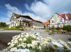 Familotel Ottonenhof，位于Diemelsee的酒店