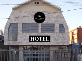 Hotel Herencia，位于奇廉General Bernardo O'Higgins - YAI附近的酒店